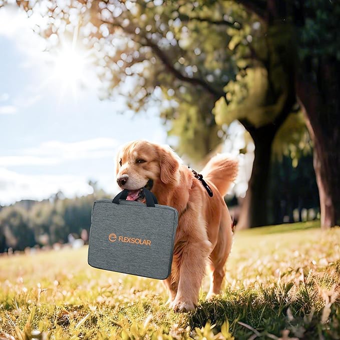 FlexSolar 100W Portable Solar Panels Chargers with PD3.0 USB-C,QC3.0 USB-A and DC Outputs Foldable IP67 Waterproof Power Emergency Camping for Small Power Station Generator,Phones, Power Banks