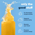 IQMIX Hydration Electrolyte Powder – 4-in-1 Formula for Hydration, Mental Clarity, Mood and Recovery – Sugar-Free Drink Mix, Keto, Magnesium L-Threonate, Lion’s Mane – 20 Count Tropical Variety Pack