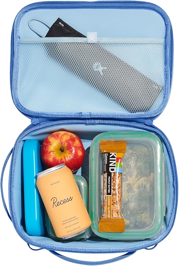 Hydro Flask Carry Out Lunch Box – Insulated Adult Lunch Cooler for Men and Women 5 L Cascade Blue