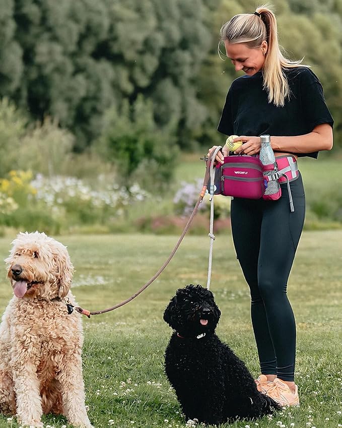 WATERFLY Fanny Pack Waist Bag: Waist Pack for Women Men with Two Water Bottle Holder Hiking Fanny Pack for Running Walking DogWalking Travel Cycling