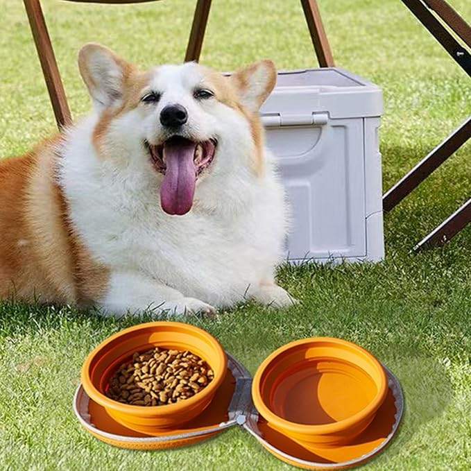 Bear Paw Foldable Pet Bowl, Dual Bowl Design for Food and Water,6.1in，Pink,Orange and Beige (Orange)