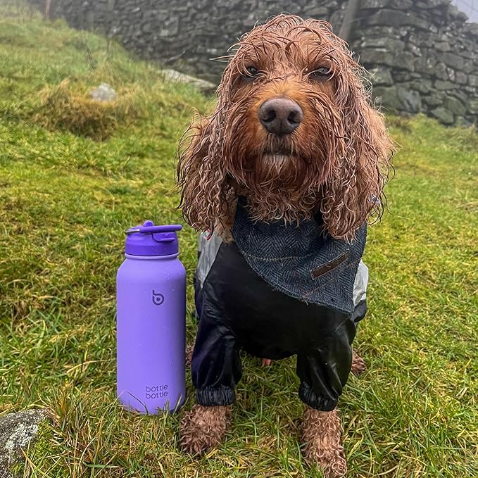 BOTTLE BOTTLE 32oz Insulated Water Bottle Stainless Steel Sport Water Bottle with Straw Dual-use Lid Design for Gym with Pill Box