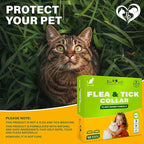 Natural Flea & Tick Collar for Cats - 12 Months Control of Best Prevention & Safe Treatment - Anti Fleas and Ticks Essential Oil Repellent (2 Pack)
