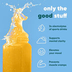 IQMIX Hydration Electrolyte Powder – 4-in-1 Formula for Hydration, Mental Clarity, Mood and Recovery – Sugar-Free Drink Mix, Keto, Magnesium L-Threonate, Lion’s Mane – 40 Count Piña Colada