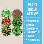 Grandpa Gus's Natural Mosquito Repellent Bracelets for Family, 300 Hours Protection, DEET-Free, Summer Outdoor Beach Camping Essentials, Regular Assorted Colors, 12 Bands