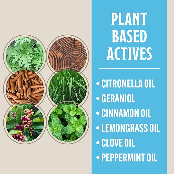 Grandpa Gus's Natural Mosquito Repellent Bracelets for Family, 300 Hours Protection, DEET-Free, Summer Outdoor Beach Camping Essentials, Regular Assorted Colors, 12 Bands