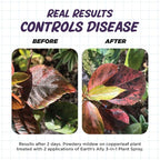 Earth's Ally 3-in-1 Plant Spray 32 oz Conc. Makes 4 gal | Insecticide, Fungicide & Spider Mite Control for Organic Gardening
