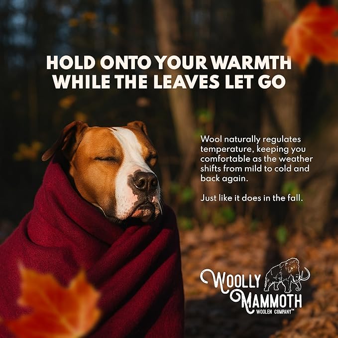 Woolly Mammoth Woolen Co. | Extra Large Merino Wool Camp Blanket | Perfect Outdoor Gear | Bedroll for Bushcraft, Camping, Trekking, Hiking, Survival, or Throw Blanket at the Cabin (Gray), 66" x 90"