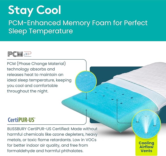 BLISSBURY 3.3 Inch Cooling Super Thin Pillow for Sleeping | Flat for Stomach & Back Sleeper | Cooling Memory Foam to Provide Comfort When Resting | Removable Cool-to-Touch Pillow Case