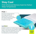 BLISSBURY Cooling Memory Foam Pillow, 2.6 Inch Thin, for Stomach & Back Sleeper, Queen Size, Removable Cool-Tech Cover, CertiPUR-US Certified