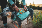 Ruffwear, Quencher Collapsible Dog Bowl, Packable Food & Water Bowl with Waterproof Lining, Water-Resistant Shell, & Reflective Trim, Lightweight, 4.2 Cups (1 L), Coastal Mountains, Medium