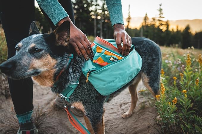 Ruffwear, Quencher Collapsible Dog Bowl, Packable Food & Water Bowl with Waterproof Lining, Water-Resistant Shell, & Reflective Trim, Lightweight, 4.2 Cups (1 L), Spring Mountains, Medium