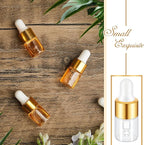 100 Pcs Mini Glass Oil Dropper Bottle Bulk, Clear Essential Small Empty Bottles Sample Containers Perfume Liquid Vials with Cap for Traveling (2 ml,Gold)