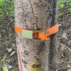 Camping Hammock for Outside with Insect-Proof Net (Orange, Staps*2)