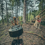 Fire-Maple Antarcti Portable 1 Liter Lightweight Stainless Steel Camping Kettle | Durable and Portable Camp Tea Pot | Ideal for Bushcraft and Outdoor Campfire Use