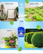 All Natural Bug Spray for Home - Non-Toxic Peppermint Oil Insect and Pest Control Kit - 8 oz Ready-to-Use Bug Spray - Indoor and Outdoor Protection- Ant Spray - Spider Repellent Indoor