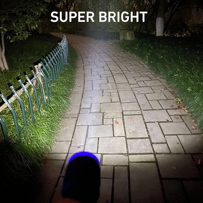 10-Pack Professional Outdoor Mini Flashlights Set, Super Bright 100 Lumen LED Flashlights, Small Flashlights Pack with 30-Piece AAA Dry Batteries Included