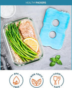 Healthy Packers Ice Packs for Lunch Boxes & Coolers - Freezer Packs - Original Cool Pack | Cooler Accessories for Beach, Camping & Fishing | Slim & Long-Lasting Reusable Ice Pack for Cooler