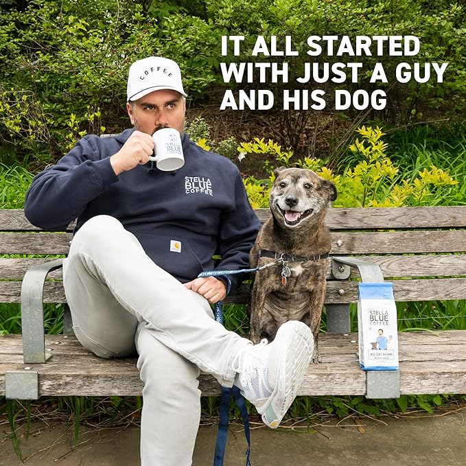 Stella Blue Cold Brew Coffee Packets, Blueberry Muffin, Medium Roast Ground Coffee, Blueberry, Warm Cinnamon and Brown Sugar Notes, 100% Arabica, 6 Brew Packets, Makes 24 Bold Cups