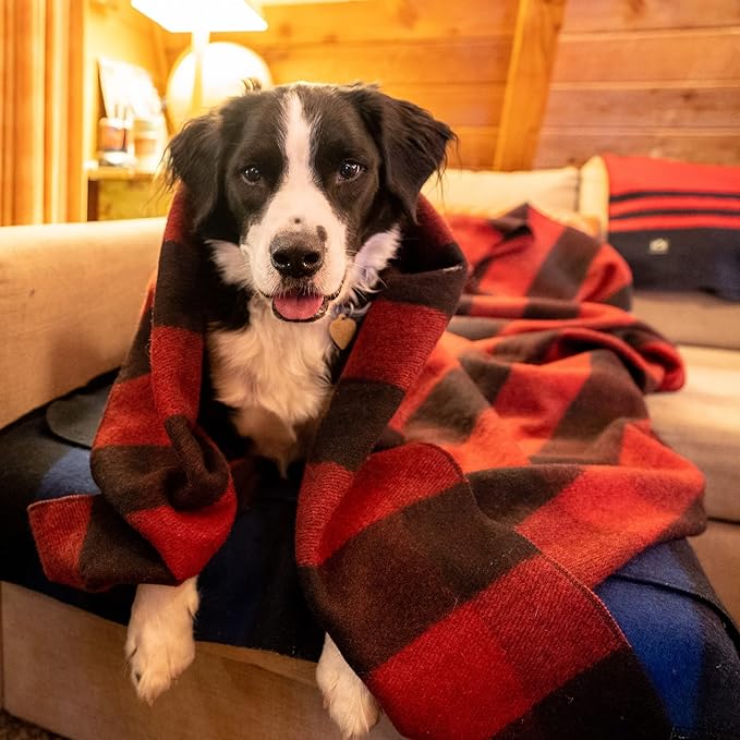 Arcturus Plaid Wool Blankets - 4.5lbs Warm, Heavy, Washable, Large | Great for Camping, Outdoors, Sporting Events, or Home