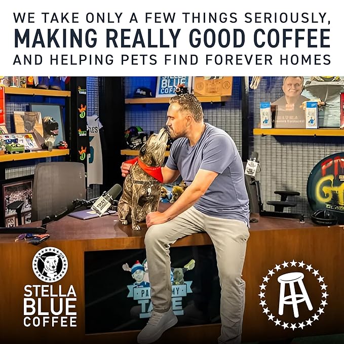 Stella Blue Cold Brew Coffee Packets, Big Cat Blend, Medium Roast Ground Coffee, Caramel, Hazelnut, and Sweet Fruity Finish, 100% Arabica, 6 Brew Packets, Makes 24 Bold Cups