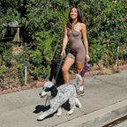 BOTTLE BOTTLE Insulated Water Bottle 24 oz with Handle and Flip Tops Lids Stainless Steel Water Bottle Push Button Lid Leak proof Portable for Running Travel Sports Hiking gray