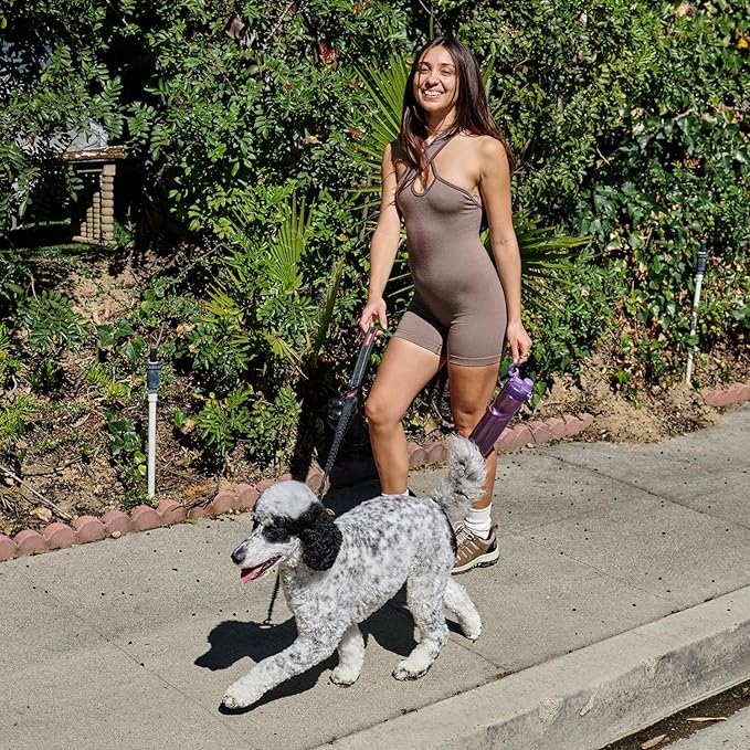 BOTTLE BOTTLE Insulated Water Bottle 24 oz with Handle and Flip Tops Lids Stainless Steel Water Bottle Push Button Lid Leak proof Portable for Running Travel Sports Hiking gray