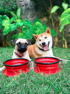 Tuff Pupper SuperBigSlurp Collapsible Dog Bowls | Two Pack Bowls | Extra Large Capacity | Portable, Food Safe, Odorless | Non-Toxic Silicone [Two Pack Red Bowls 60oz]
