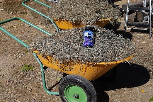 Epic Water Filters Nalgene OG Water Bottle with Filter, USA Made, BPA Free, Removes 99.99% Tap Water Contaminants, Forever Chemicals, POW Art, 32 oz