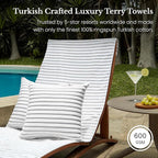 Black & White Brands Brazilian Beach/Pool/Bath Towel - Ultimate Absorbent Luxury XL 36x70 100% Cotton Wave (2 Towels, Charcoal Gray Poly Pinstripe)
