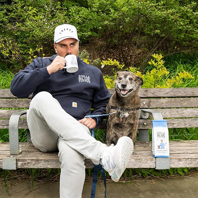 Stella Blue Cold Brew Coffee Packets, Electric Avenue Blend, Dark Roast Ground Coffee, Toffee, Dark Chocolate, and Subtle Smokey Notes, 100% Arabica, 6 Brew Packets, Makes 24 Bold Cups